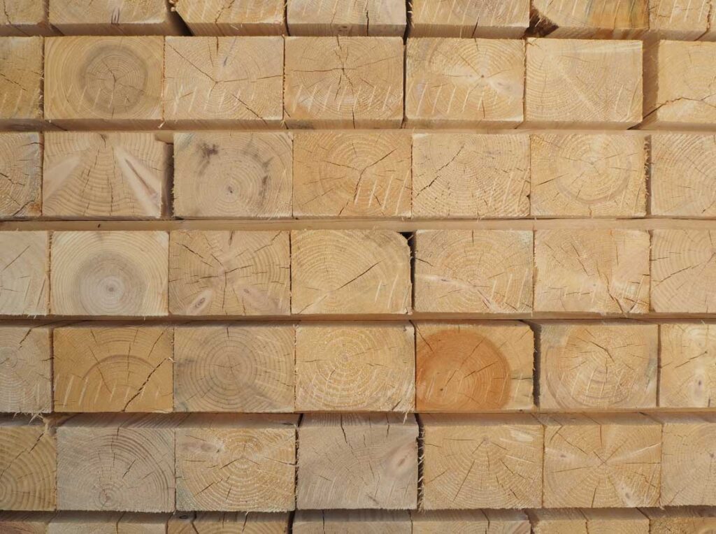 controllo legno pallet